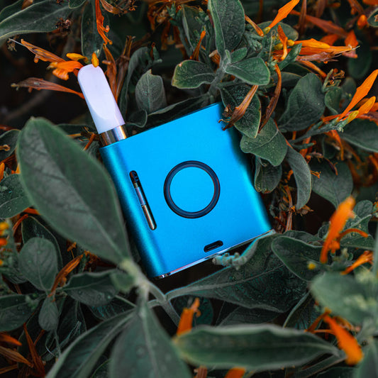 What's Inside The SOLPOD?